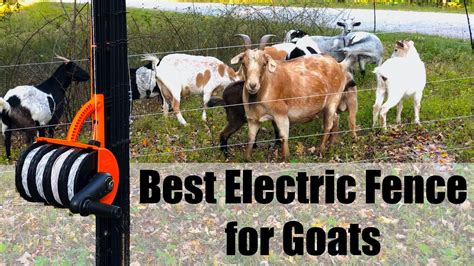 goat box for electric fence|movable electric fence for goats.